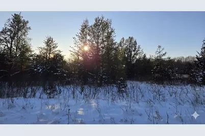 5.67 Acres 22nd Street, Necedah, WI 54646 - Photo 8