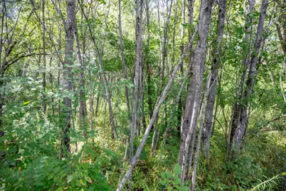 5.67 Acres 22nd Street, Necedah, WI 54646 - Photo 20