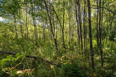 5.67 Acres 22nd Street, Necedah, WI 54646 - Photo 16