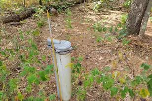 N10596 Lakeside Ct, Necedah, WI 54646 - Photo 58