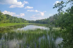 N10596 Lakeside Ct, Necedah, WI 54646 - Photo 54