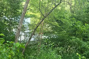 N10596 Lakeside Ct, Necedah, WI 54646 - Photo 56