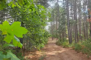 N10596 Lakeside Ct, Necedah, WI 54646 - Photo 28