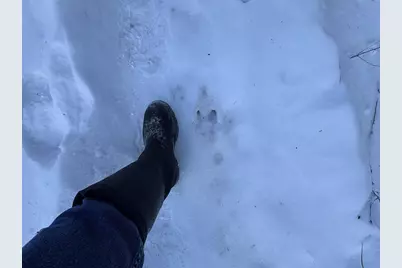 W4362 W County Road A Road, Pine River, WI 54965 - Photo 14