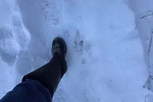 W4362 W County Road A Rd, Pine River, WI 54965 - Photo 14