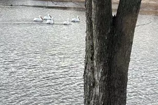 N3789 Tipperary Rd, Poynette, WI 53955 - Photo 58