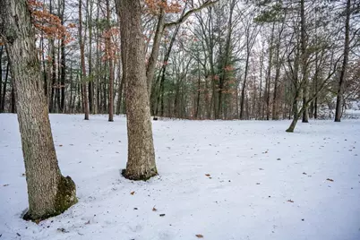 1677 Cree Drive, Arkdale, WI 54613 - Photo 22