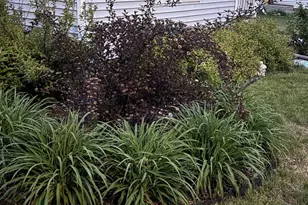 204 Linden St, Fort Atkinson, WI 53538 - Photo 28