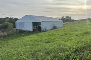 61063 County Road B Rd, Ferryville, WI 54628 - Photo 4