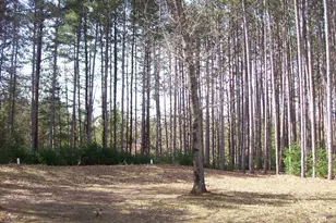 W5703 County Road C Rd, Montello, WI 53949 - Photo 6