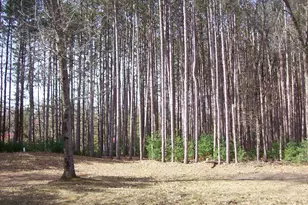 W5703 County Road C Rd, Montello, WI 53949 - Photo 44