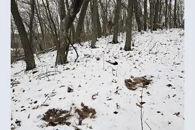 41498 S Sleepy Hollow Road, Gays Mills, WI 54631 - Photo 52