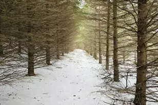 41498 S Sleepy Hollow Rd, Gays Mills, WI 54631 - Photo 48