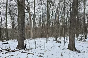 41498 S Sleepy Hollow Rd, Gays Mills, WI 54631 - Photo 58
