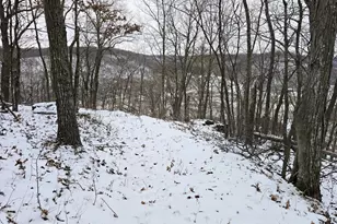 41498 S Sleepy Hollow Rd, Gays Mills, WI 54631 - Photo 64