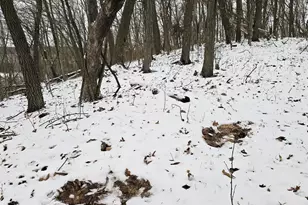 41498 S Sleepy Hollow Rd, Gays Mills, WI 54631 - Photo 54