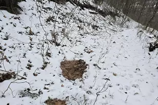 41498 S Sleepy Hollow Rd, Gays Mills, WI 54631 - Photo 52