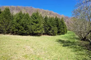 41498 S Sleepy Hollow Rd, Gays Mills, WI 54631 - Photo 56
