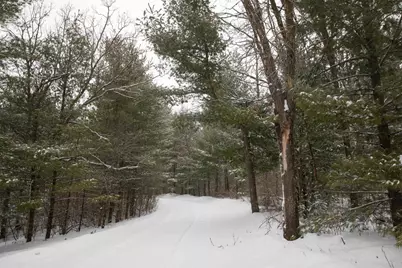 N296 4th Avenue, Coloma, WI 54930 - Photo 56