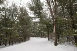 N296 4th Ave, Coloma, WI 54930 - Photo 56