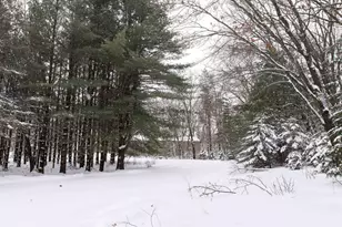 N1545 4th Ave, Coloma, WI 54930 - Photo 64