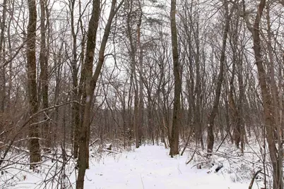 N1545 4th Avenue, Coloma, WI 54930 - Photo 82