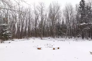 N1545 4th Ave, Coloma, WI 54930 - Photo 80