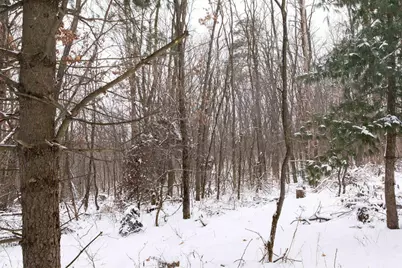 N1545 4th Avenue, Coloma, WI 54930 - Photo 72