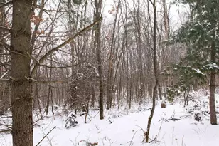 N1545 4th Ave, Coloma, WI 54930 - Photo 72