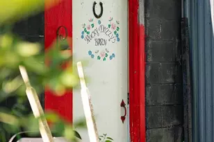 S3141 Natwick Rd, Viroqua, WI 54665 - Photo 16