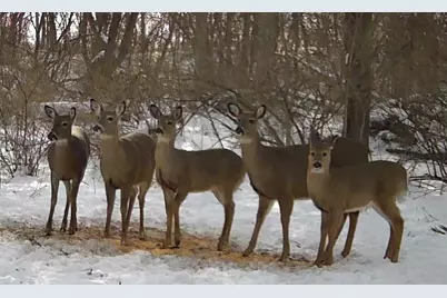 1331 County Road D, Oregon, WI 53575 - Photo 86