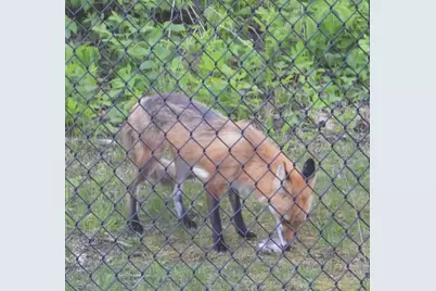 1331 County Road D, Oregon, WI 53575 - Photo 80