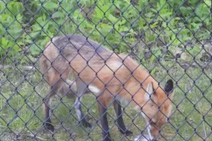 1331 County Road D, Oregon, WI 53575 - Photo 80