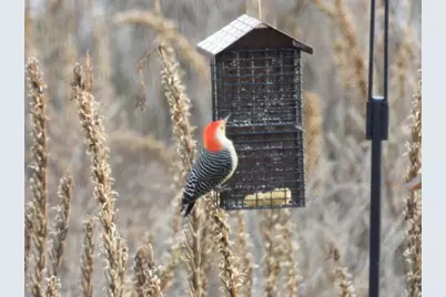 1331 County Road D, Oregon, WI 53575 - Photo 78