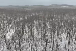 W9110 Wildwood Rd, Willard, WI 54493 - Photo 40