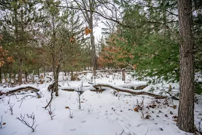 N9358 7th Avenue, Necedah, WI 54646 - Photo 64