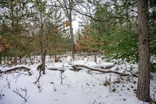 N9358 7th Ave, Necedah, WI 54646 - Photo 64