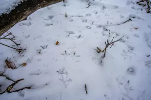 N9358 7th Ave, Necedah, WI 54646 - Photo 62