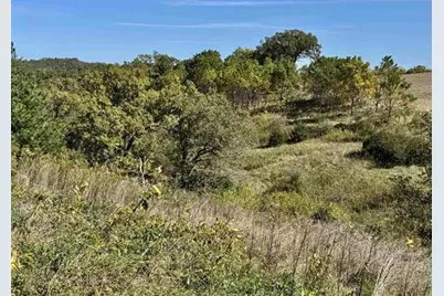 41.80 Acres County Road O, Mineral Point, WI 53565 - Photo 6