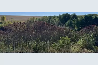 41.80 Acres County Road O, Mineral Point, WI 53565 - Photo 8