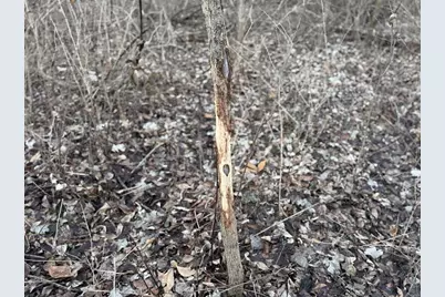 123.5 M/L Acres State Road 81, Beloit, WI 53511 - Photo 68