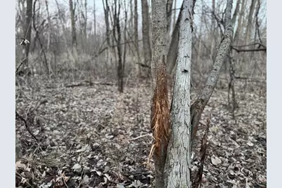 123.5 M/L Acres State Road 81, Beloit, WI 53511 - Photo 62