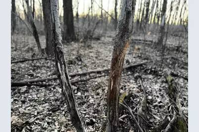 123.5 M/L Acres State Road 81, Beloit, WI 53511 - Photo 66