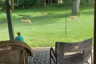 209 W Chestnut St, Pardeeville, WI 53934 - Photo 38