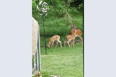 209 W Chestnut Street, Pardeeville, WI 53934 - Photo 40