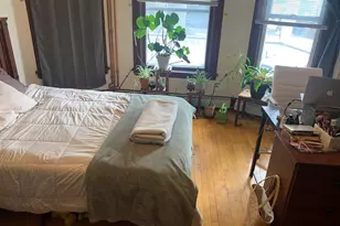 411 S Paterson St, Madison, WI 53703 - Photo 6