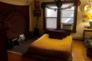 411 S Paterson St, Madison, WI 53703 - Photo 22