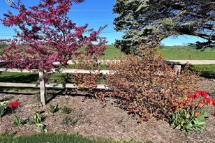 N5478 State Road 73 Rd, Princeton, WI 54968 - Photo 6