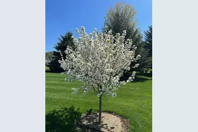 3123 Fran's Drive, Sun Prairie, WI 53590 - Photo 42