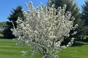 3123 Fran's Dr, Sun Prairie, WI 53590 - Photo 42